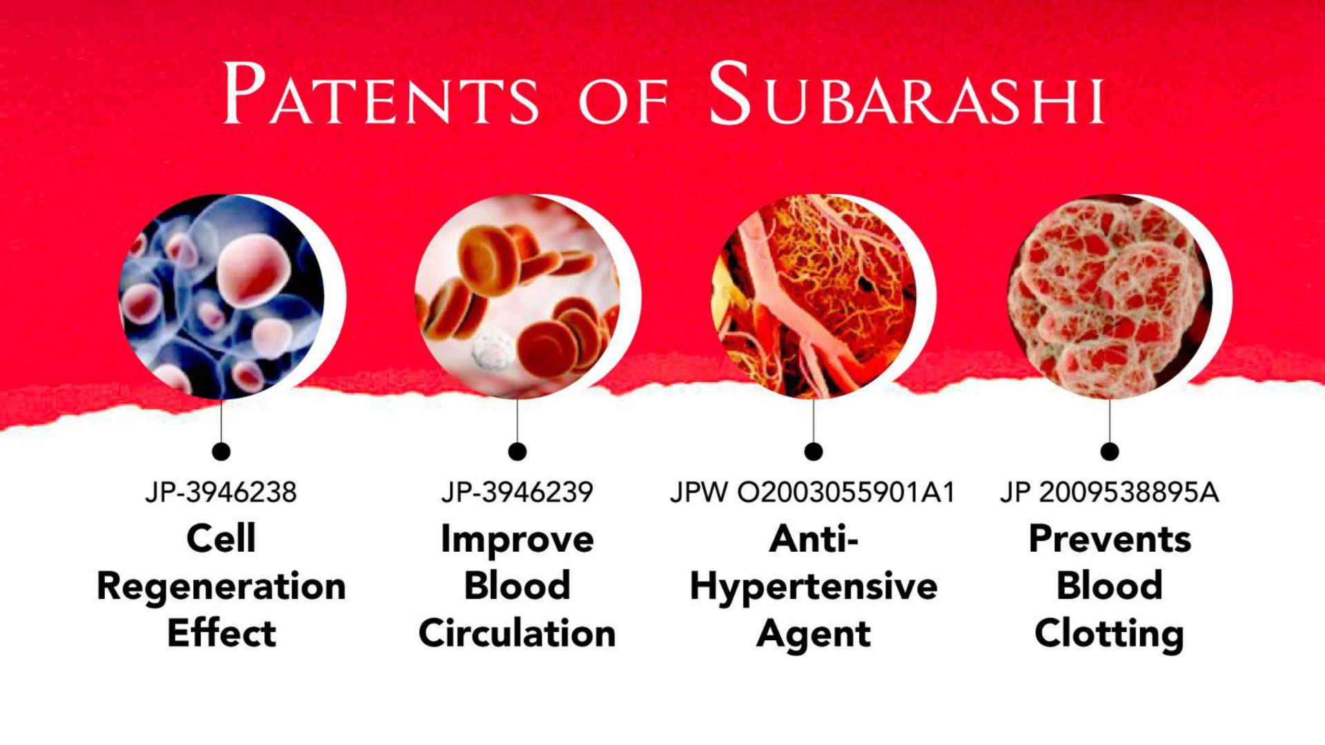 Manfaat SOP SUbarashi