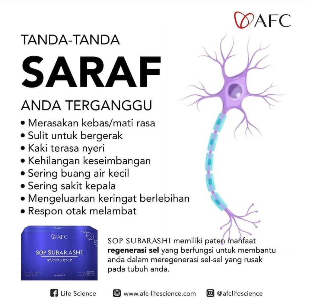 Makanan sehat untuk Syaraf