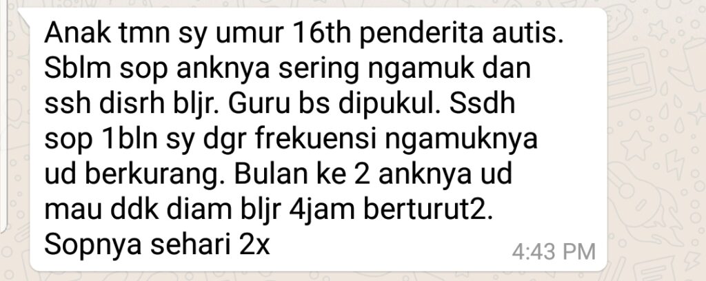 pengobatan autisme anak