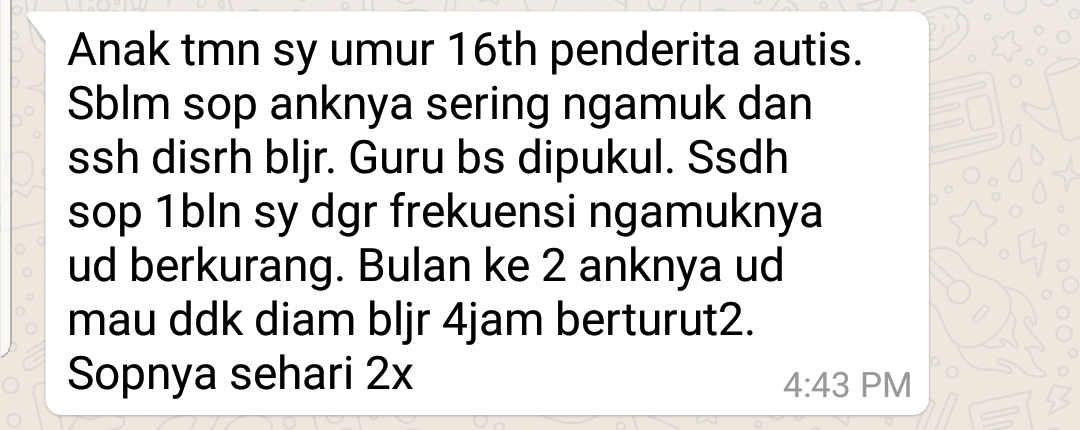 pengobatan autisme anak