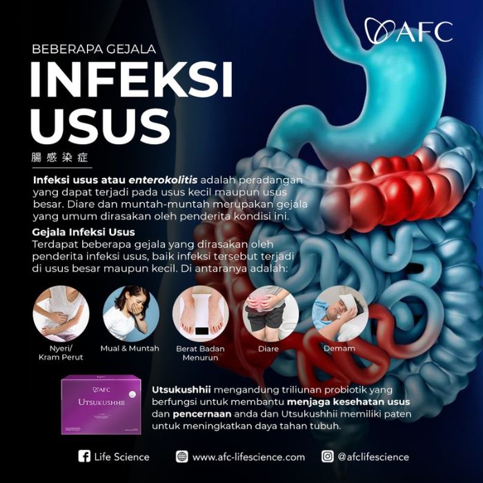 infeksi usus