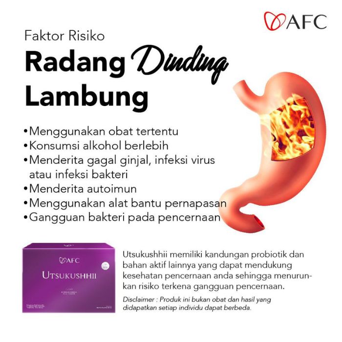 radang dinding lambung