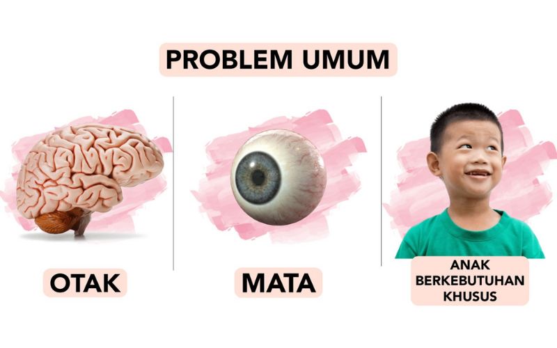 Suplemen Mata dan Otak - HIKARI AFC Jepang