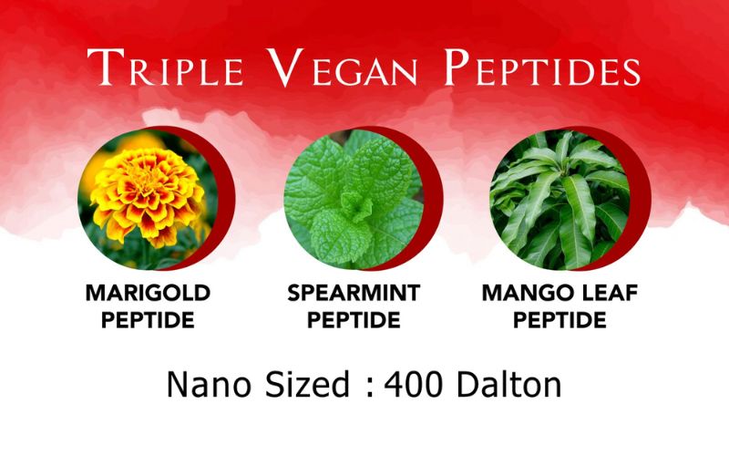 Suplemen Mata dan Otak - HIKARI AFC Jepang